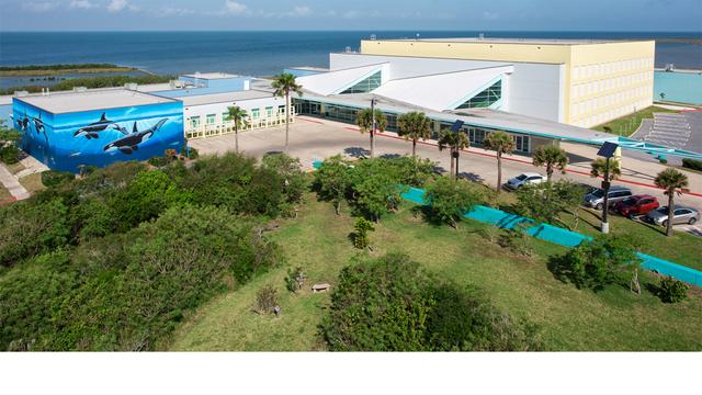 South Padre Island Convention Centre