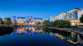 See All That Grapevine Has to Offer