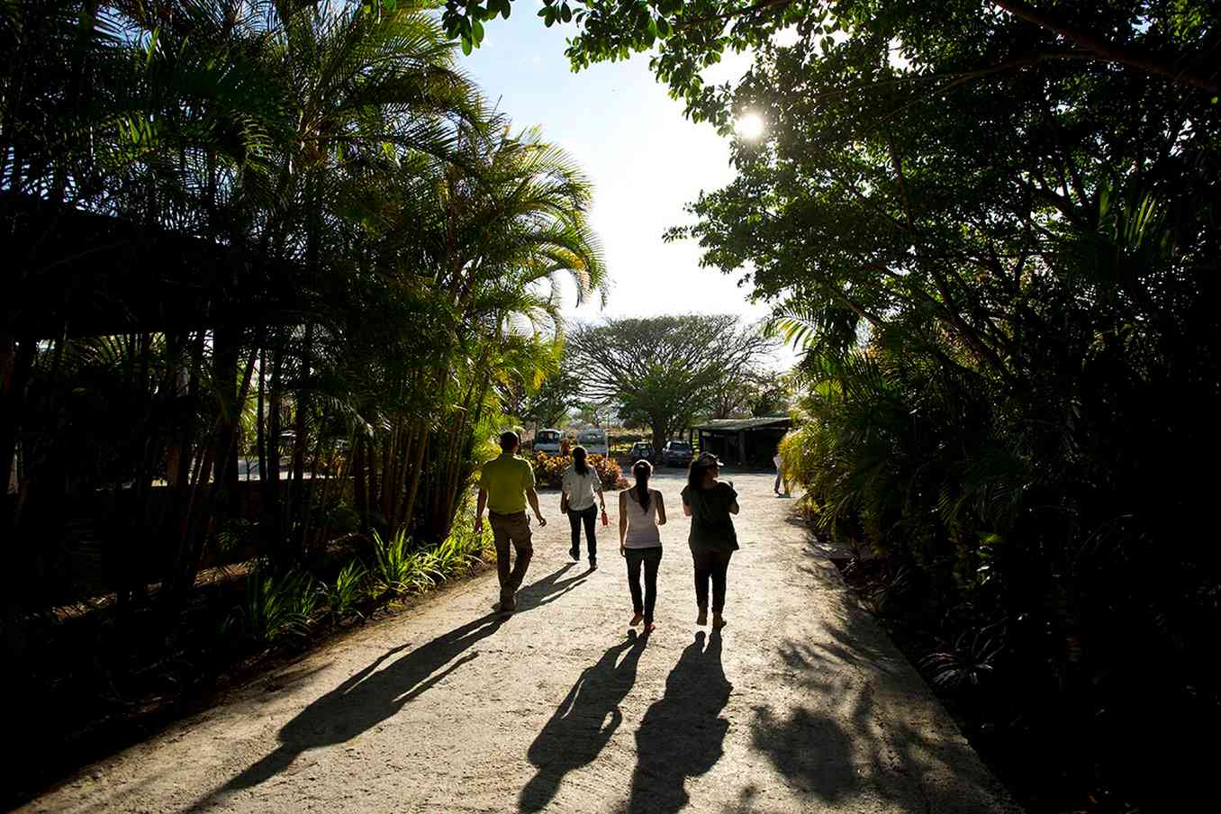 Buena Vista Lodge in Guanacaste, CR