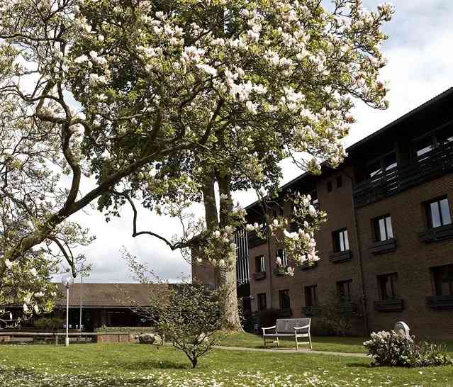 Munkebjerg Hotel in Vejle, DK