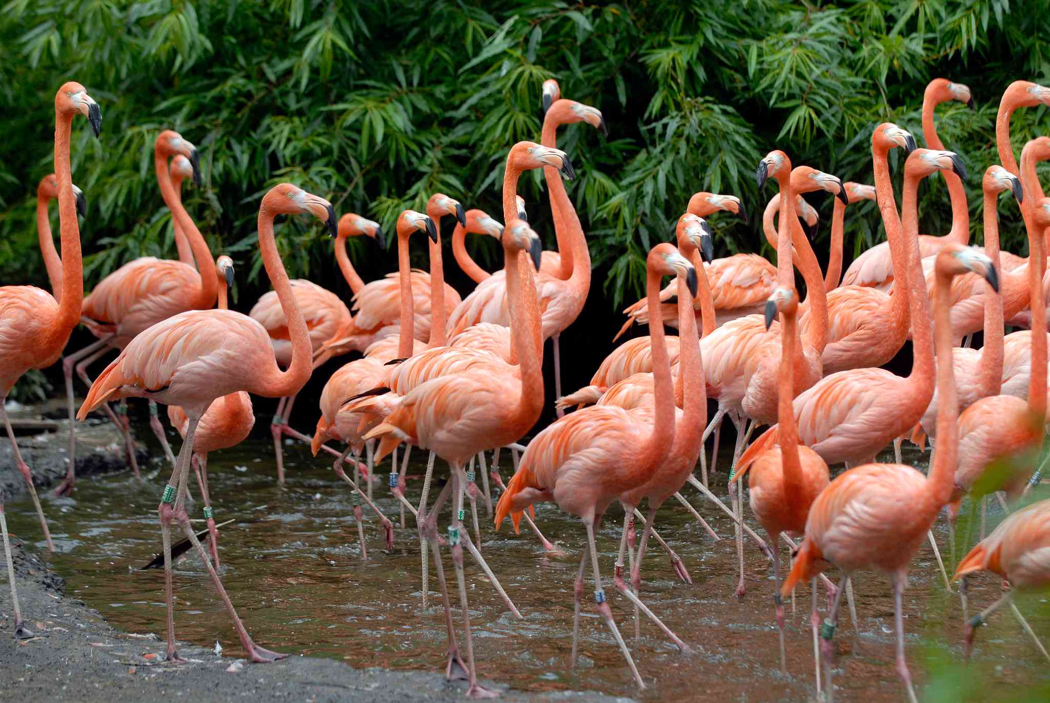 Hotel Avifauna - Alphen a/d Rijn in Alphen aan den Rijn, NL