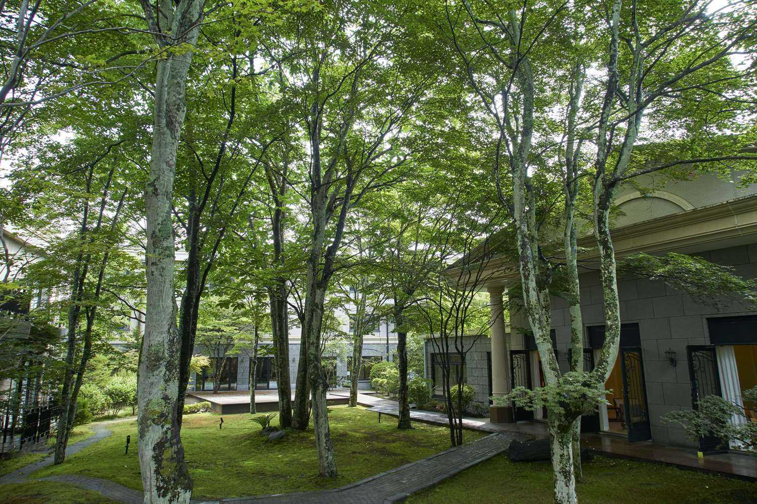 Kyukaruizawa Kikyo, Curio Collection by Hilton in Karuizawa, JP