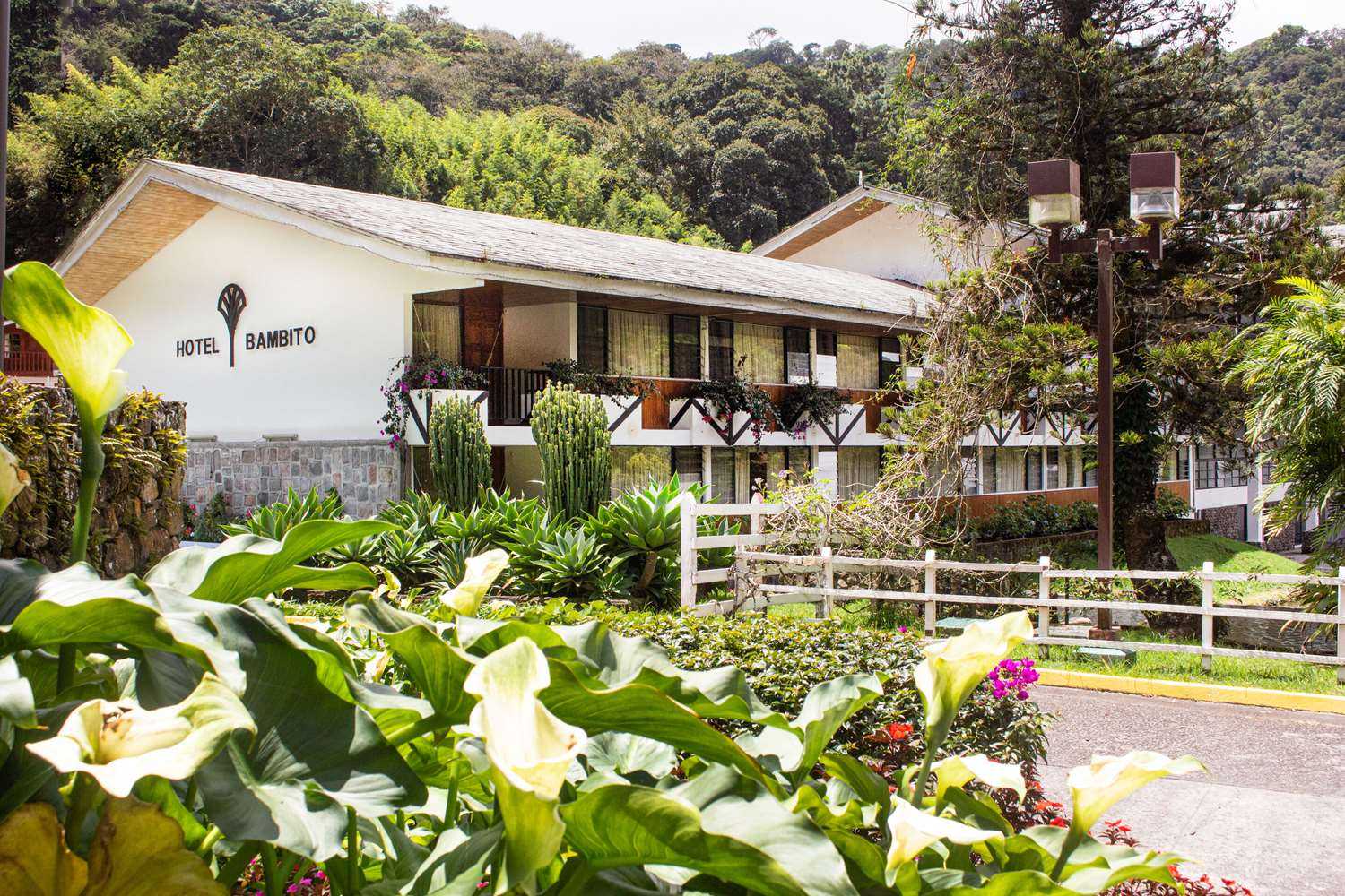 Hotel Bambito By Faranda Boutique, a member of Radisson Individuals in Cerro Punta, PA