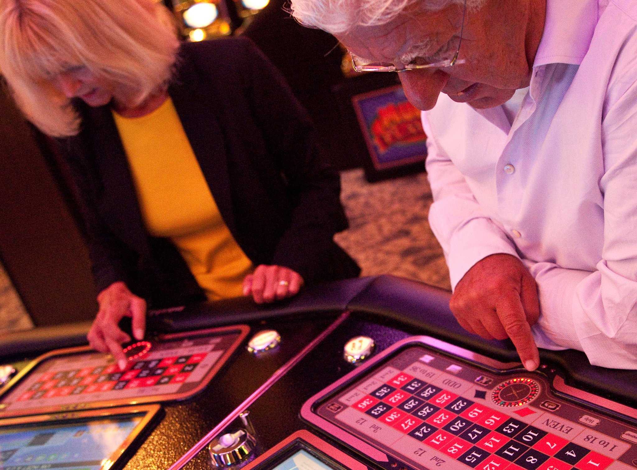 Alphen Aan Den Rijn, NLにおけるVan der Valk Hotel Avifauna