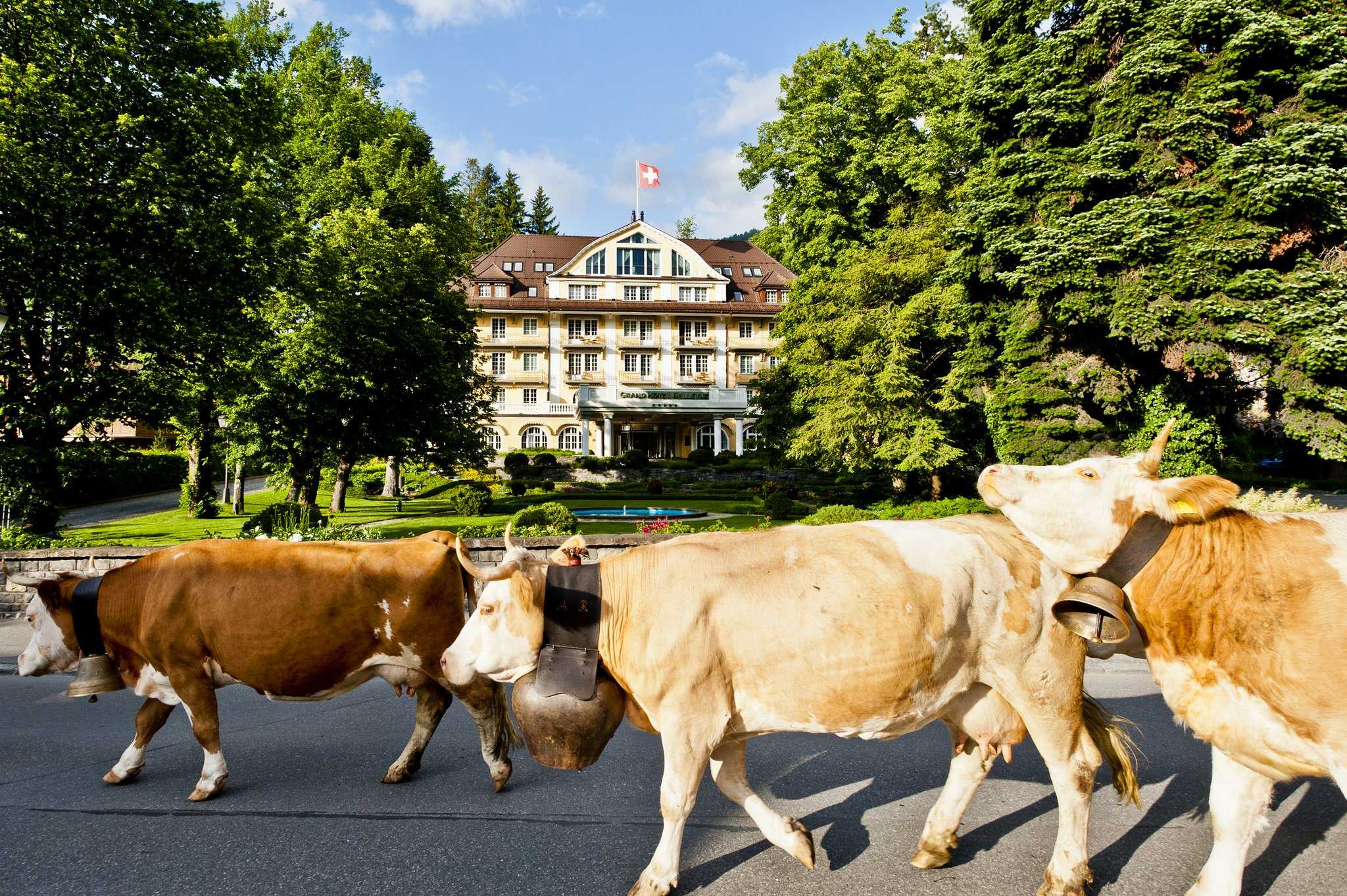 Le Grand Bellevue in Saanen, CH