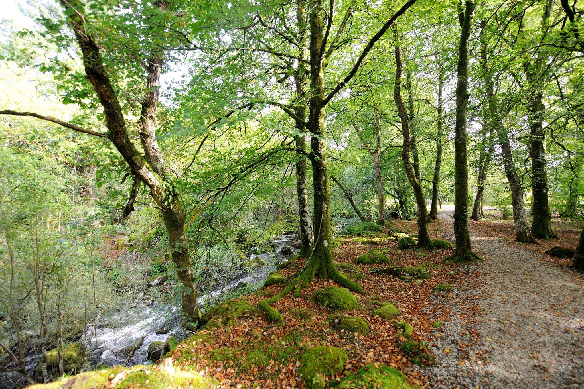 Gidleigh Park in Newton Abbot, GB1