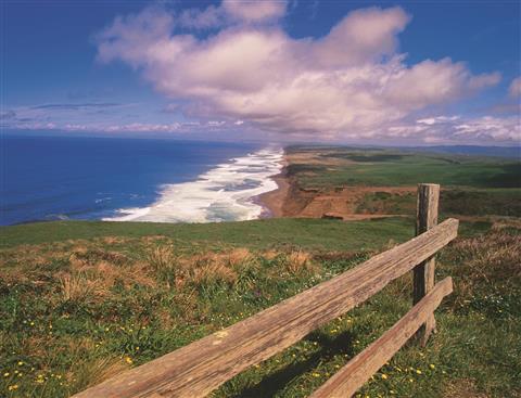 Marin Convention & Visitors Bureau in San Rafael, CA