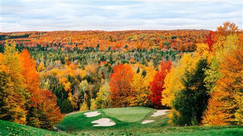 Treetops Resort in Gaylord, MI