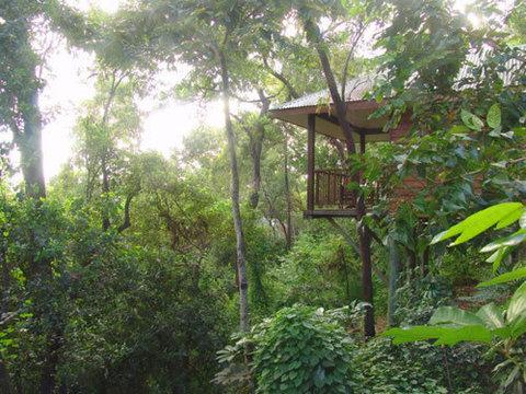 Thala Beach Lodge in Tropical North Queensland, AU