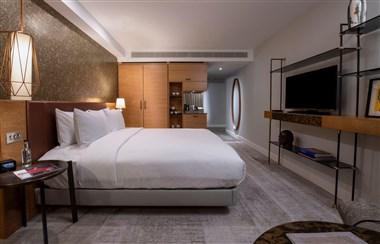 Lincoln Plaza London, Curio Collection by Hilton in London, GB1