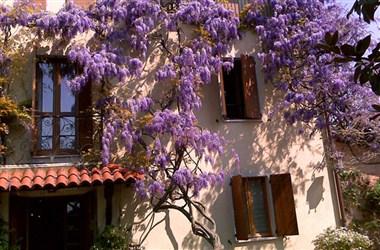 Querce in Salsomaggiore Terme, IT