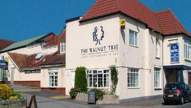 The Walnut Tree in Bridgwater, GB1