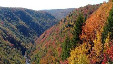 Randolph County Convention And Visitors Bureau in Elkins, WV