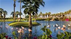 JW Marriott Desert Springs Resort & Spa in Palm Desert, CA