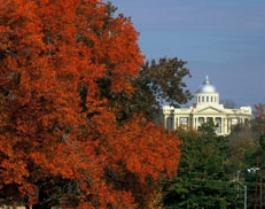 Palestine Convention and Visitor Bureau in Palestine, TX