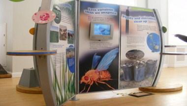 WWT Martin Mere Wetland Centre in Ormskirk, GB1