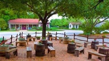 The Grapevine in New Braunfels, TX