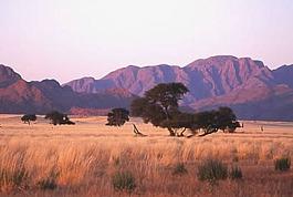 Namibia Tourism Board in Windhoek, NA