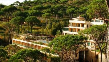 Pineland Hotel and Health Resort in Hammana, LB