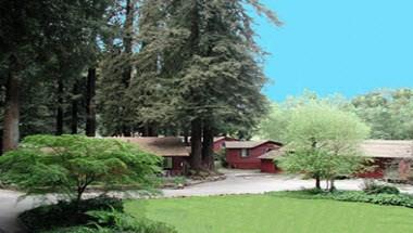 Fern River Resort in Felton, CA