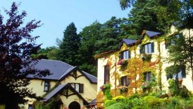 Aherlow House Hotel & Lodges in Tipperary, IE