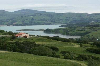 Takamatua Valley Vineyards in Akaroa, NZ