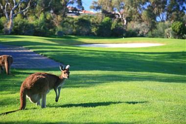 Joondalup Resort in Perth, AU