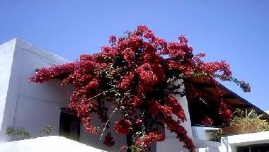 Hotel Giardino sul Mare in Lipari, IT