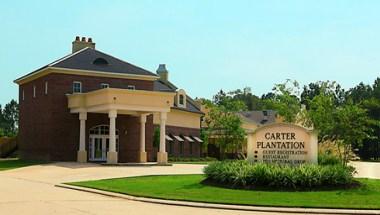 Carter Plantation in Springfield, LA
