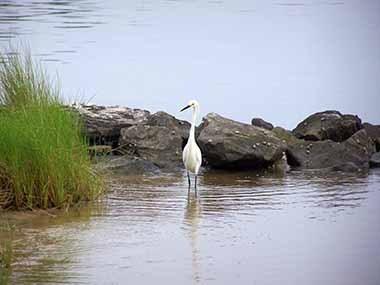 Wicomico Tourism in Delmar, MD