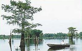 Louisiana's Cajun Bayou Tourism in Raceland, LA