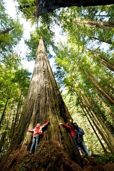 Humboldt County Visitors Bureau in Eureka, CA