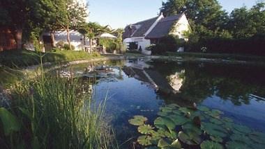 Taubenkobel in Schuetzen am Gebirge, AT