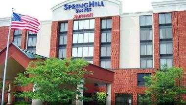 SpringHill Suites Chicago Naperville/Warrenville in Warrenville, IL
