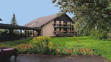 Hotel Restaurant Alpenblick in Wolfisberg, CH