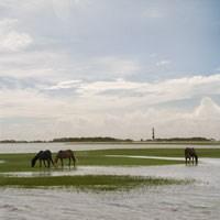 Crystal Coast Tourism Authority in Morehead City, NC