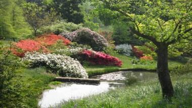 High Beeches Gardens in Haywards Heath, GB1