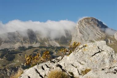 National Tourism Organisation of Montenegro in Podgorica, ME