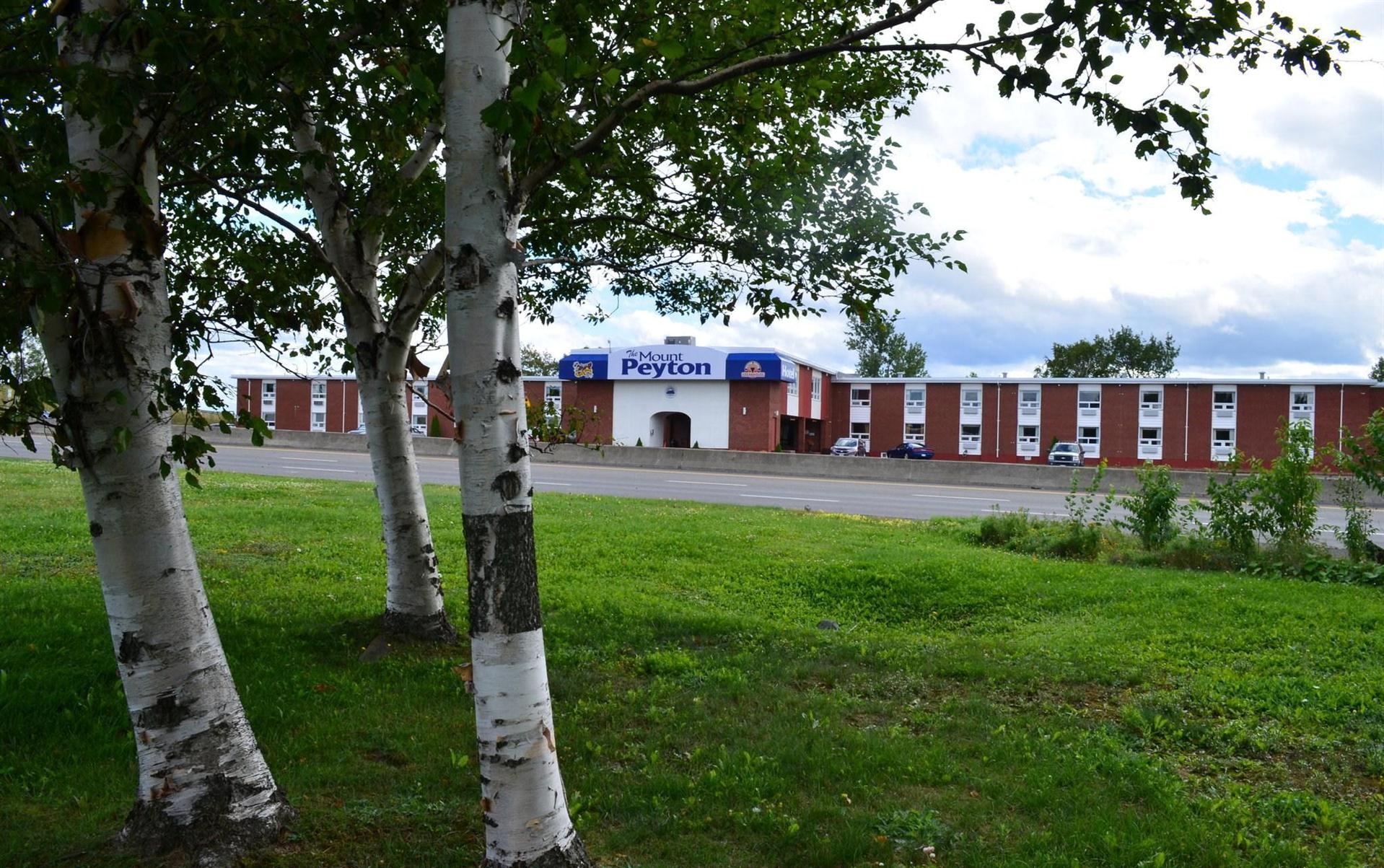 Mount Peyton Resort & Conference Center in Grand Falls-Windsor, NL