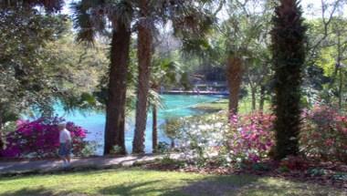 Rainbow Springs State Park in Dunnellon, FL