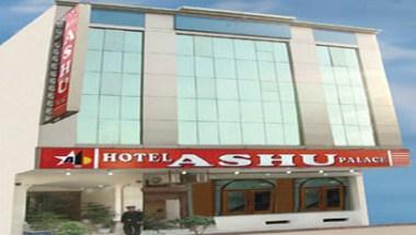 Hotel Ashu Palace in New Delhi, IN