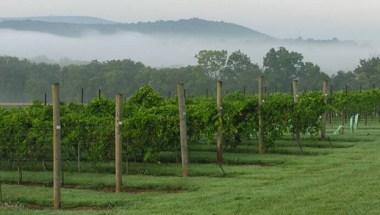 Villa Milagro Vineyards in Finesville, NJ