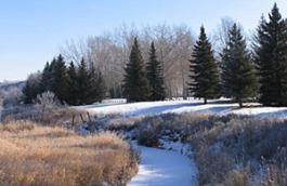 Tourism Medicine Hat in Medicine Hat, AB