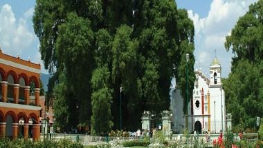 RVC's Las Cupulas, Oaxaca in Oaxaca, MX