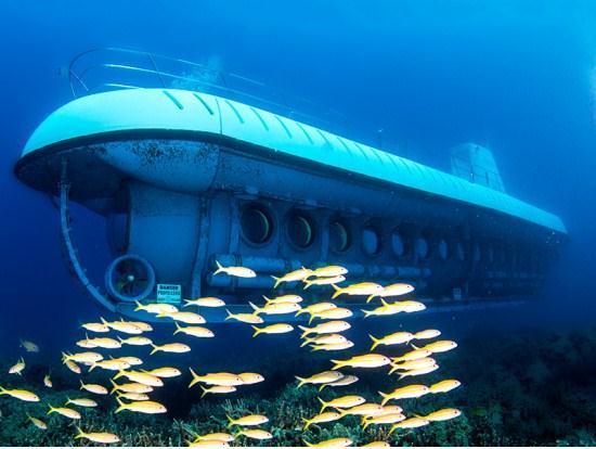 Atlantis Submarines Waikiki in Honolulu, HI