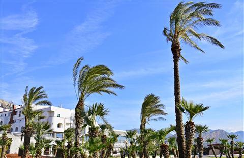 Saracen Sands Hotel & Congress Centre in Palermo, IT