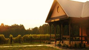 Junius Lindsay Vineyard in Lexington, NC