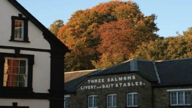 The Three Salmons Hotel in Usk, GB3