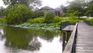 Lichterman Nature Center in Memphis, TN