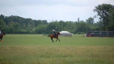 Detroit Polo Club in Howell, MI